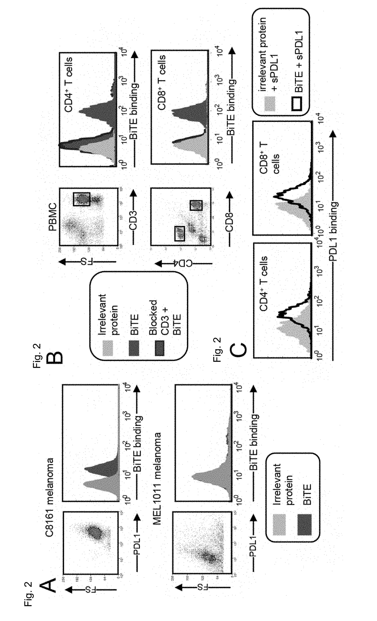 Recombinant bi-specific polypeptide for coordinately activating tumor-reactive t-cells and neutralizing immune suppression