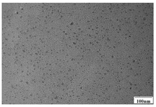 Manganese zinc ferrite targeted nanocomposite carrier and preparation method thereof