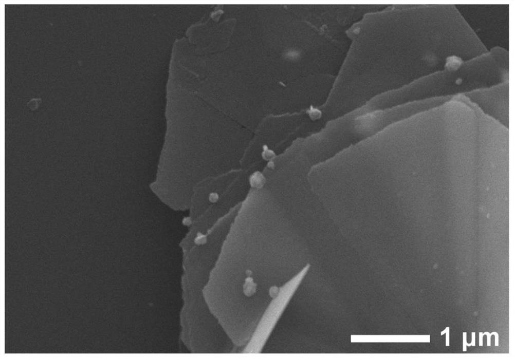 Preparation method of Ag/alpha-Co(OH)2 oxygen evolution catalyst