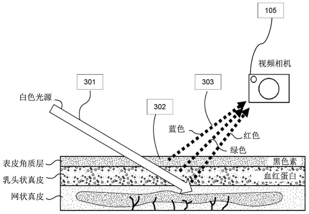 Systems and methods for camera-based heart rate tracking