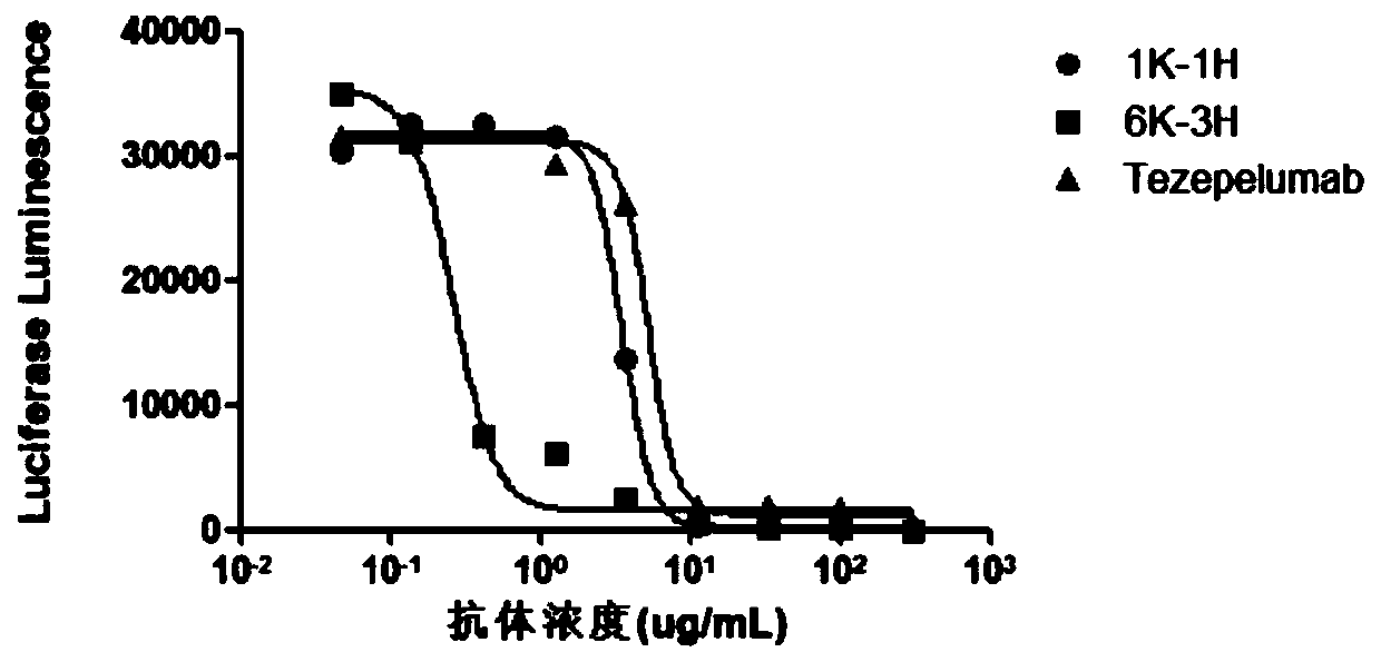 Human thymus stromal lymphopoietin monoclonal antibody and application thereof