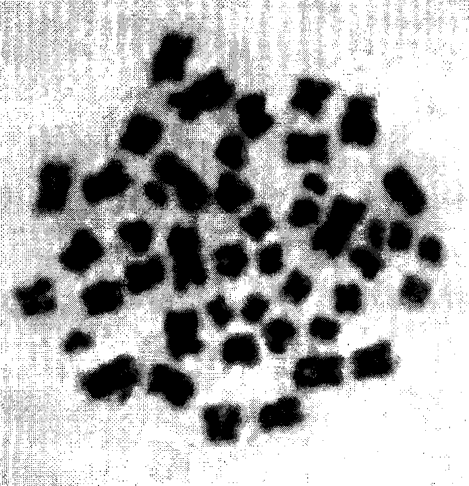 Method for rapidly preparing prematurely condensed chromosomes of human peripheral blood lymphocytes