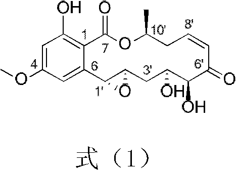 Application of beta-dihydro benzoic acid macrolide derivant in preventing and treating harmful spiral shells