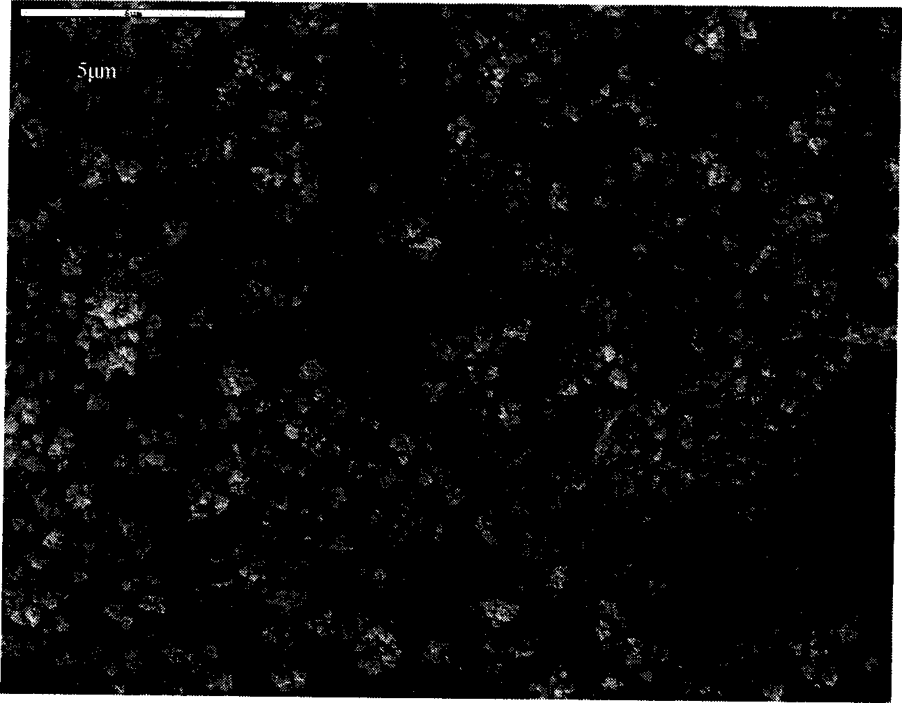 Method for preparing palladium carried metal-based electrode used for electro-catalysis of chlore-aromatics for dechlorination