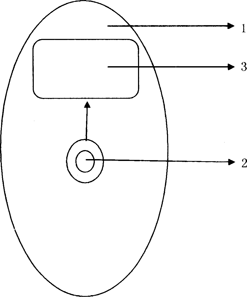 Video switching device of mobile phone television