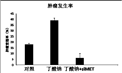 Method for treating cancer by combined application of c-MET inhibitor and sodium butyrate