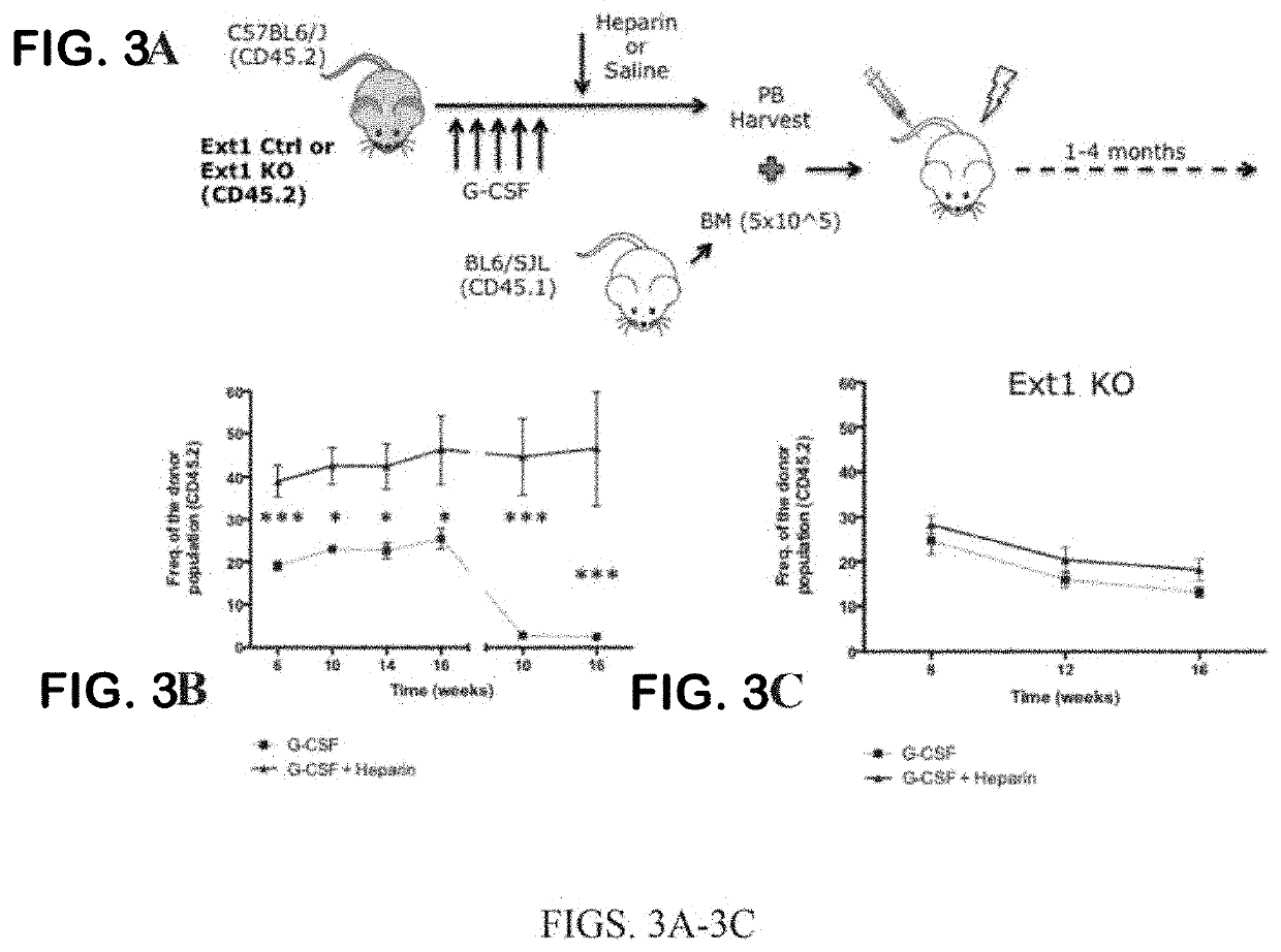 Methods and compositions for mobilizing stem cells