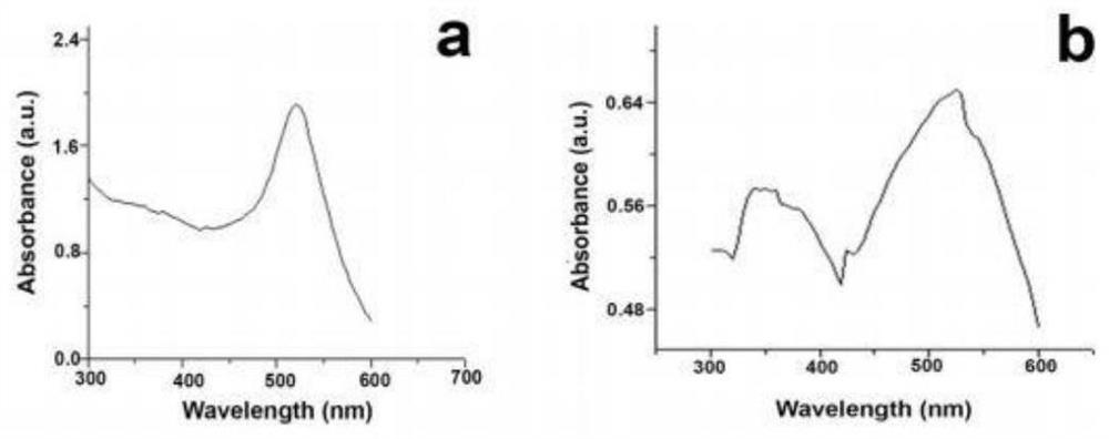 Preparation method of nanometer targeted drug, and application of nanometer targeted drug for treating gastric carcinoma