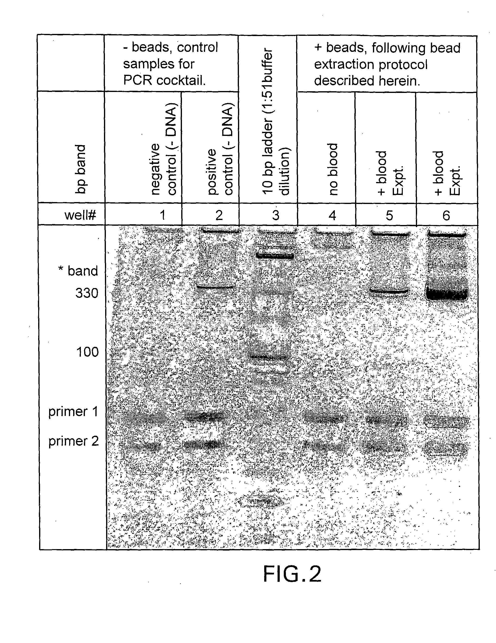 Molecular diagnostics system and methods