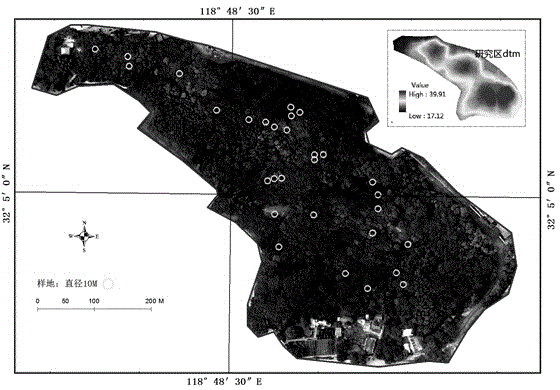 UAV and LiDAR integrated forest stand characteristic inversion method