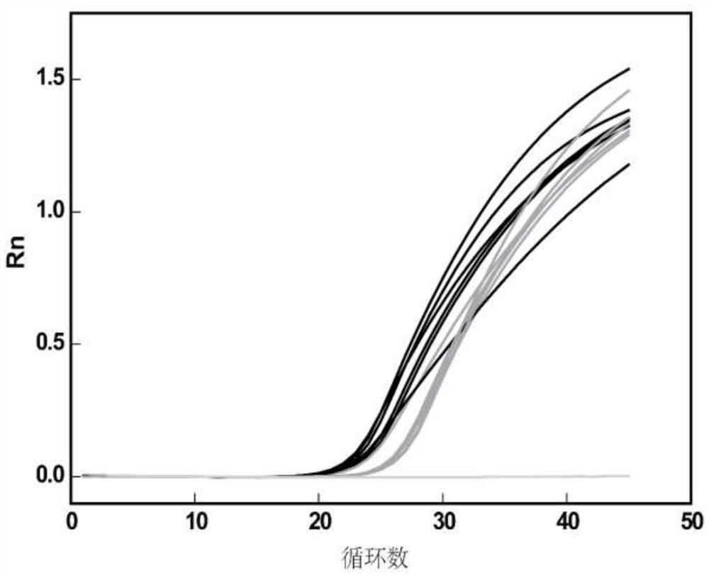 Primers, probes and kits for detecting fusion mutations of human alk gene and their detection methods