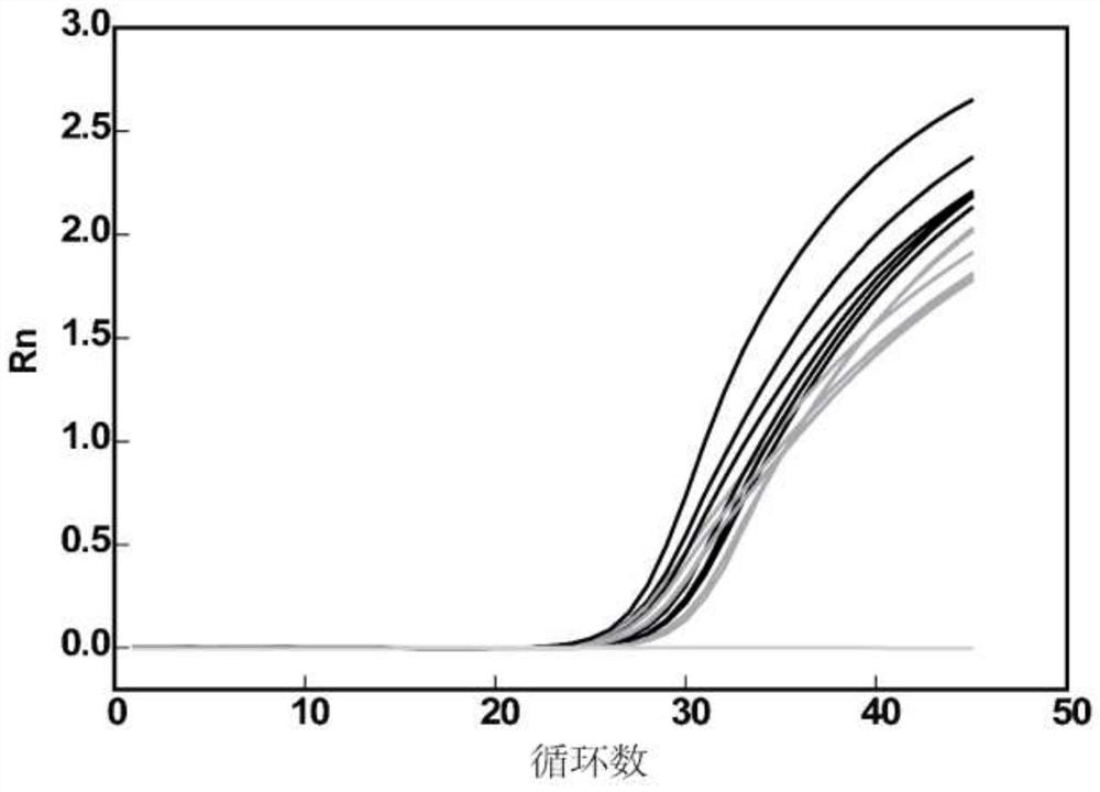 Primers, probes and kits for detecting fusion mutations of human alk gene and their detection methods