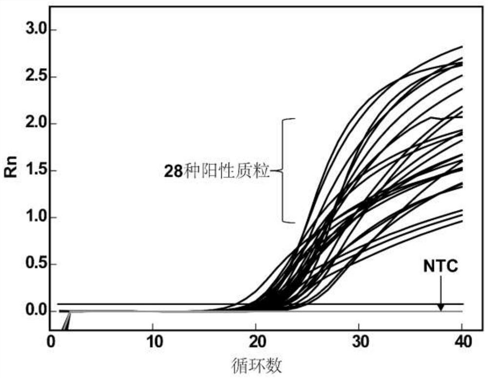 Primers, probes and kits for detecting fusion mutations of human alk gene and their detection methods