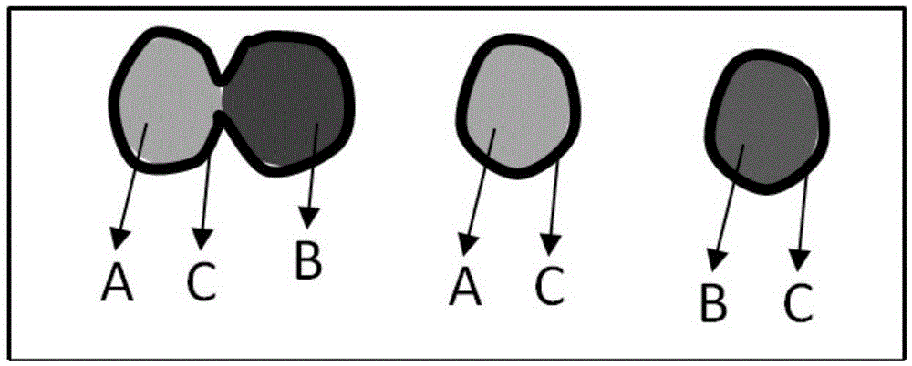 Composite anode material for lithium ion battery, and preparation method and application of composite anode material