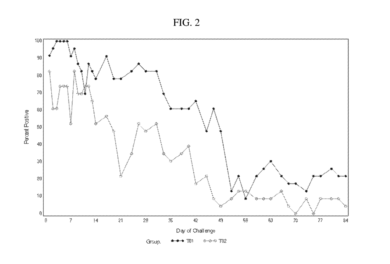 Salmonella choleraesuis-salmonella typhimurium vaccines