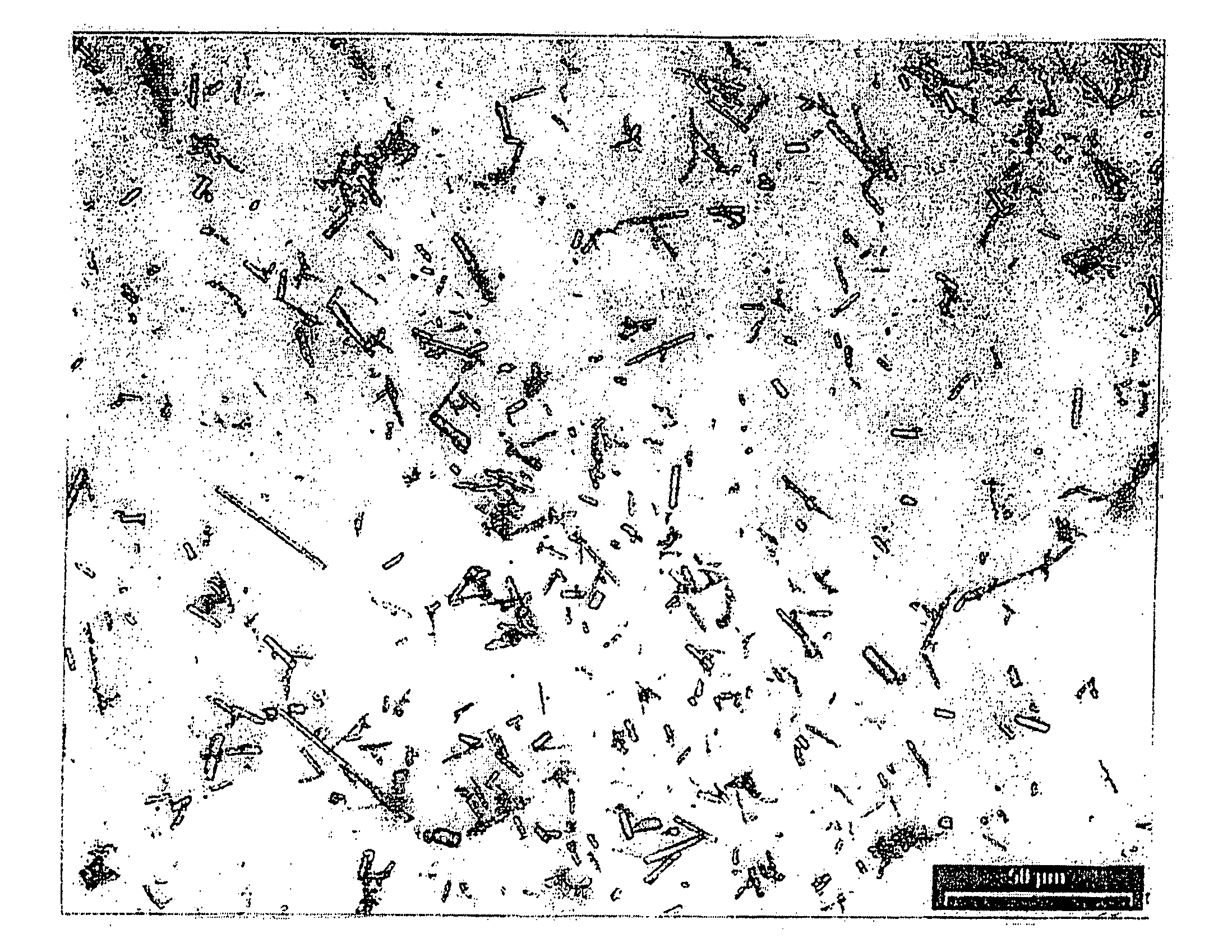 Crystals of the sodium salt of pravastatin