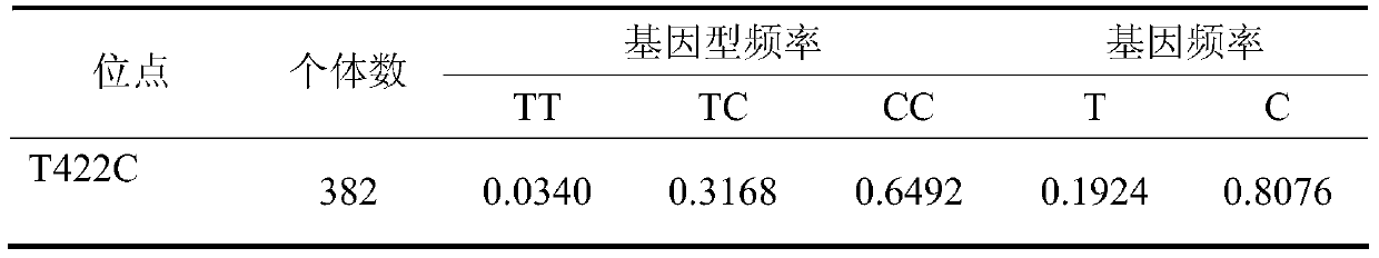 A method for identifying the age and eye muscle area of ​​pigs up to 100kg body weight based on bmp7 gene