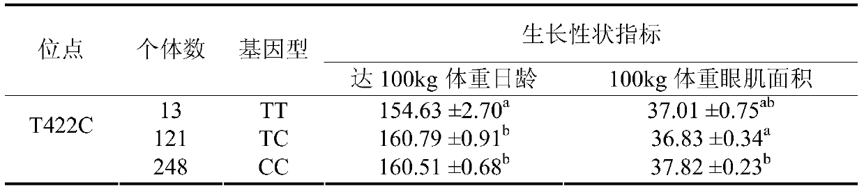 A method for identifying the age and eye muscle area of ​​pigs up to 100kg body weight based on bmp7 gene