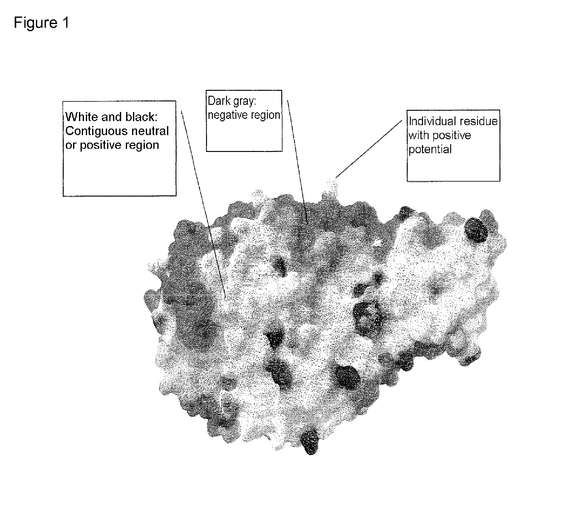 Alpha-amylase variants stabilized against dimerization and/or multimerization, method for the production thereof, and detergents and cleansers containing these alpha-amylase variants