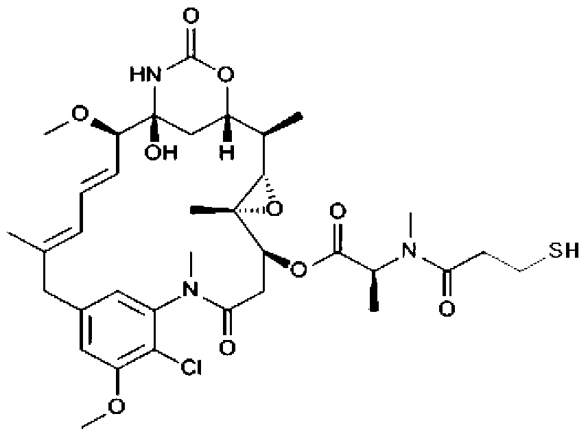 Anti-human ErbB2 antibody-ansamitocin conjugate and applications thereof