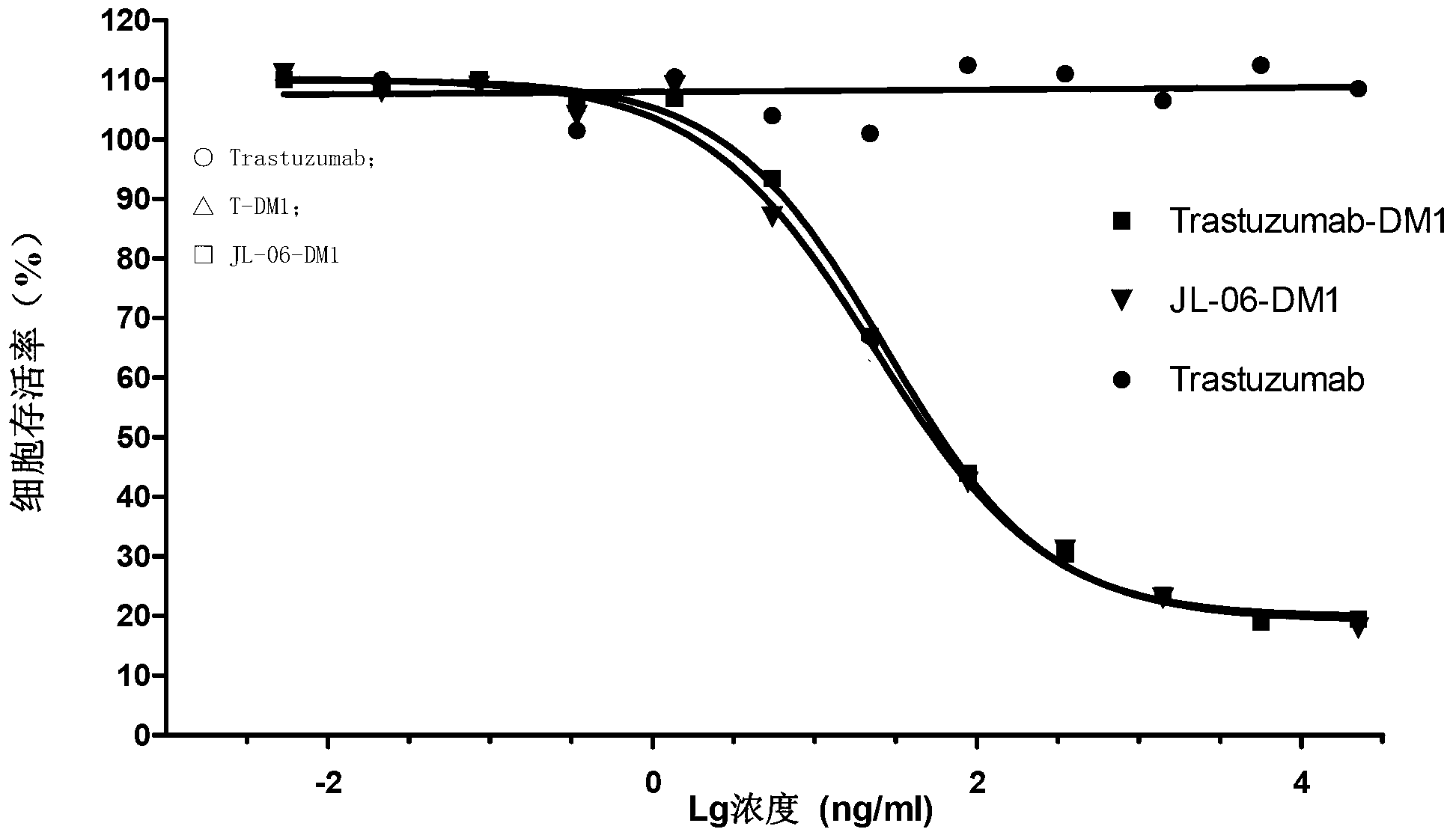 Anti-human ErbB2 antibody-ansamitocin conjugate and applications thereof