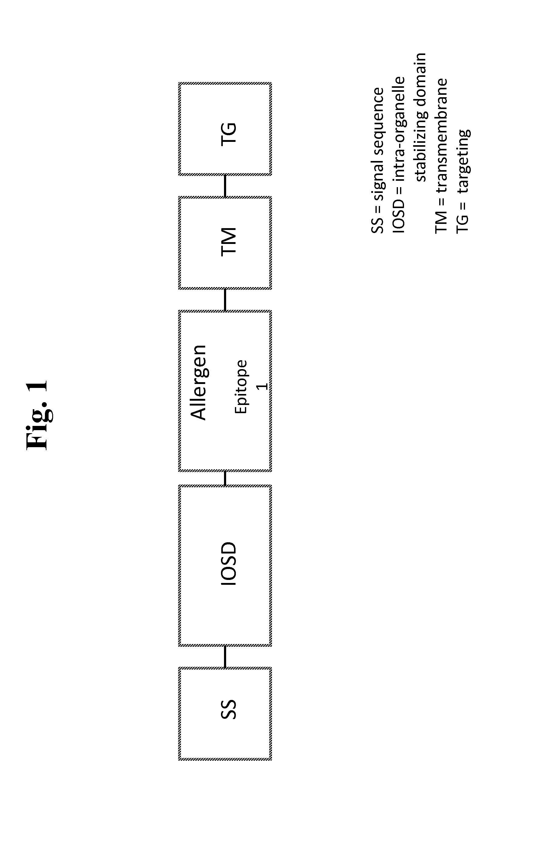 Nucleic acids for treatment of allergies