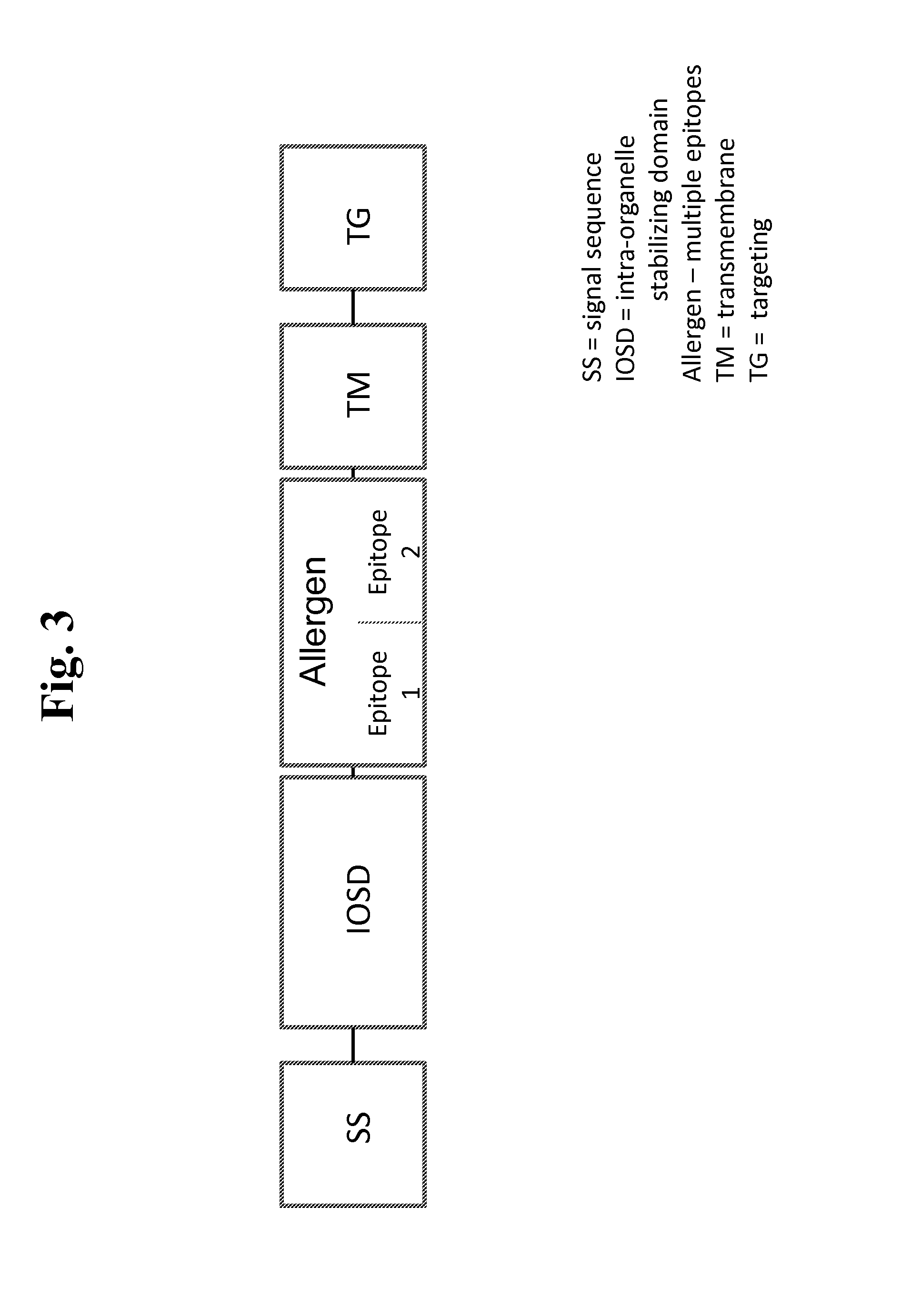 Nucleic acids for treatment of allergies