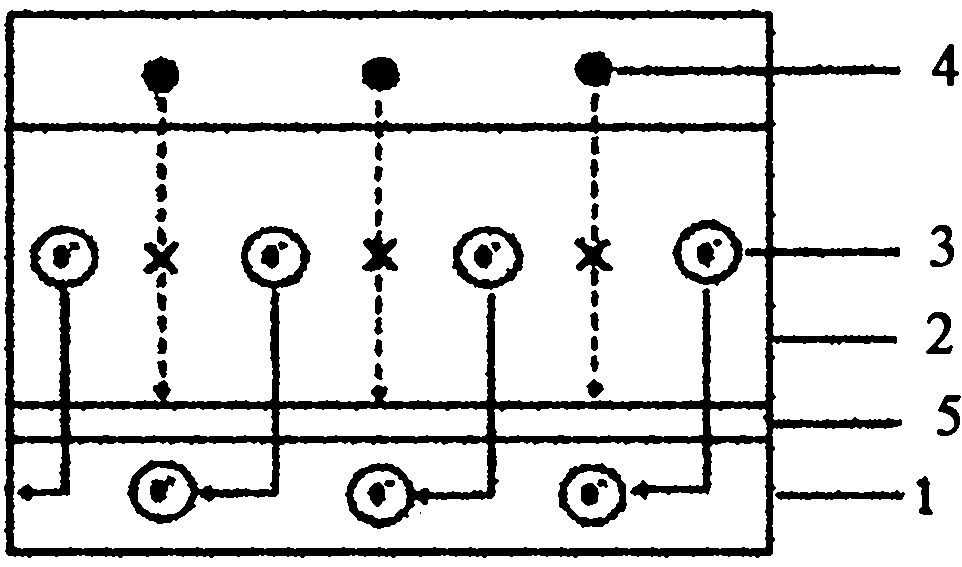 Solar battery with graphite interface layer and manufacturing method thereof