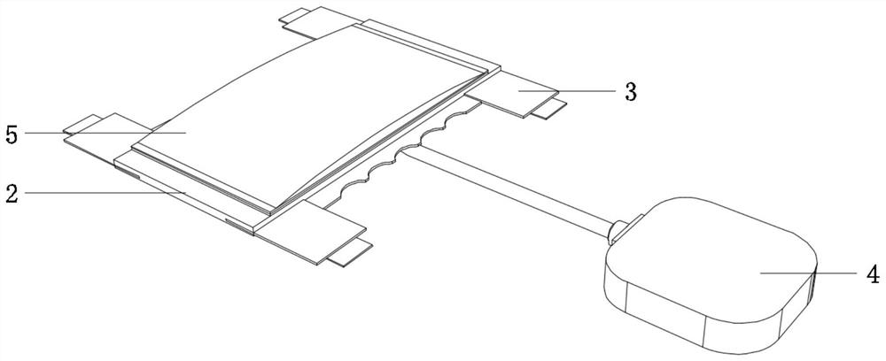 Newborn urine retaining device