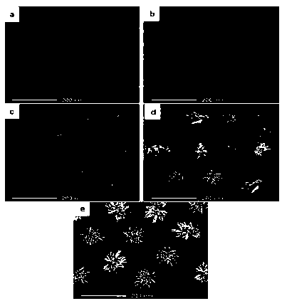 Preparation method of sea urchin-like NaEuTiO4 nanowire