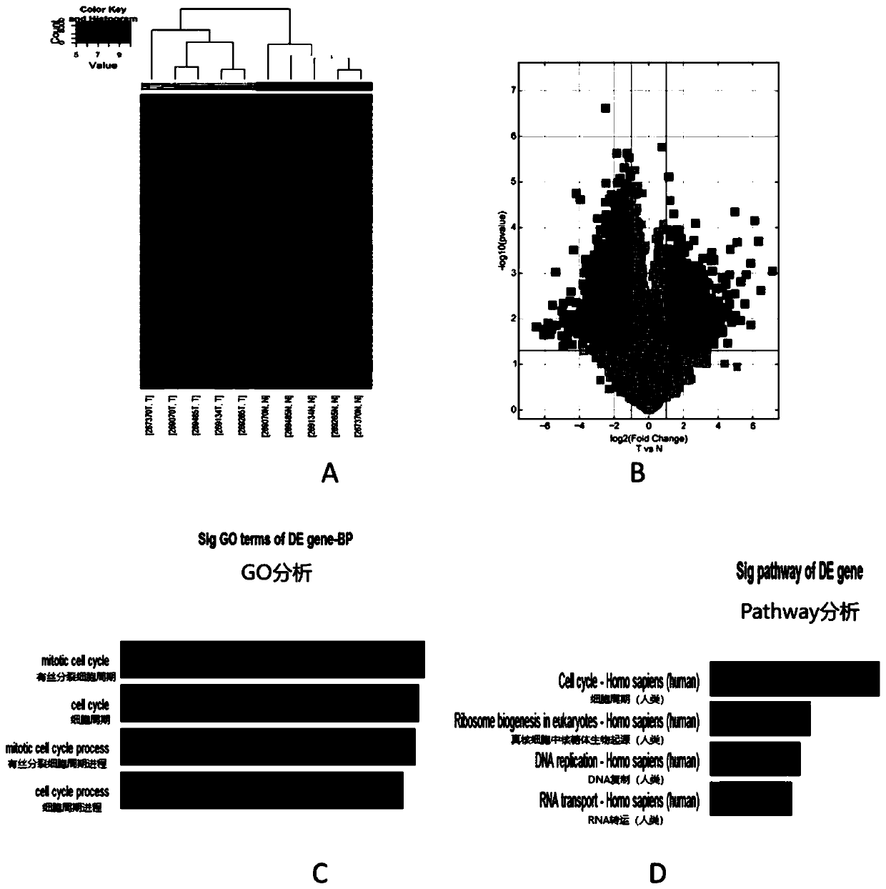 Application of circ-0000423 in preparation or screening of drugs for colon cancer