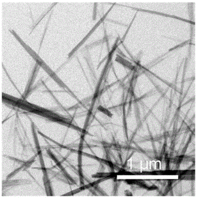 Ni-MOF ultrathin nano belt, and synthesis method and applications thereof