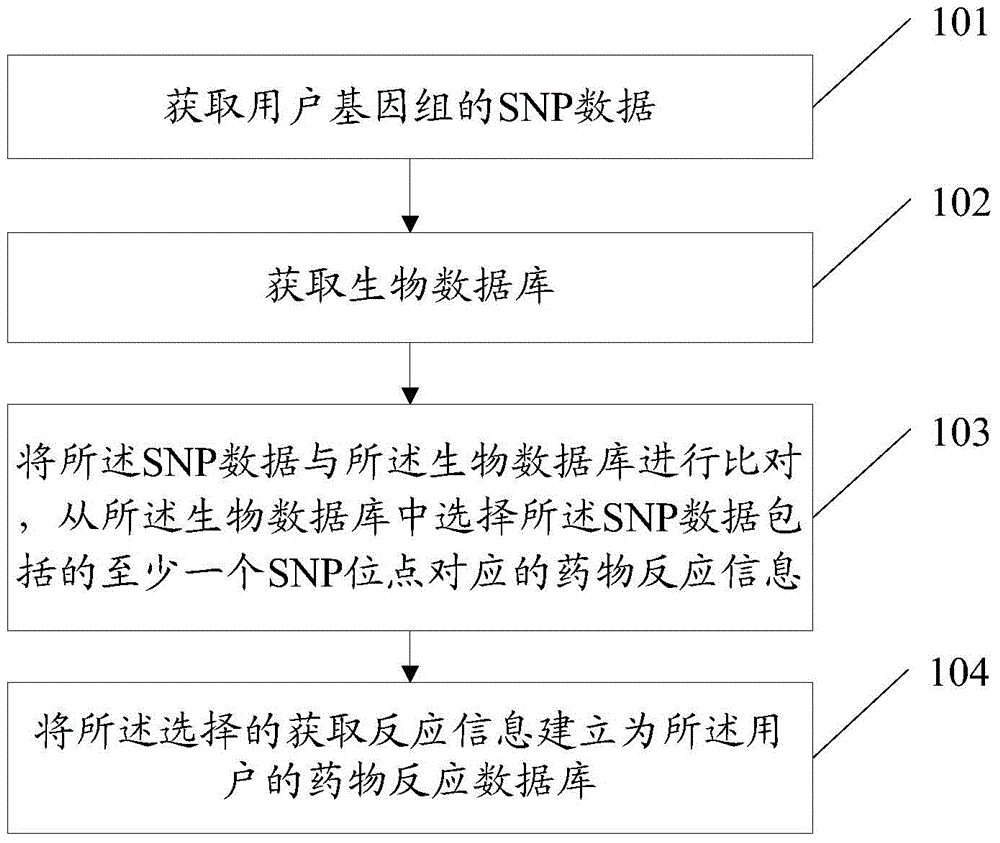 Method and device for establishing drug reaction database