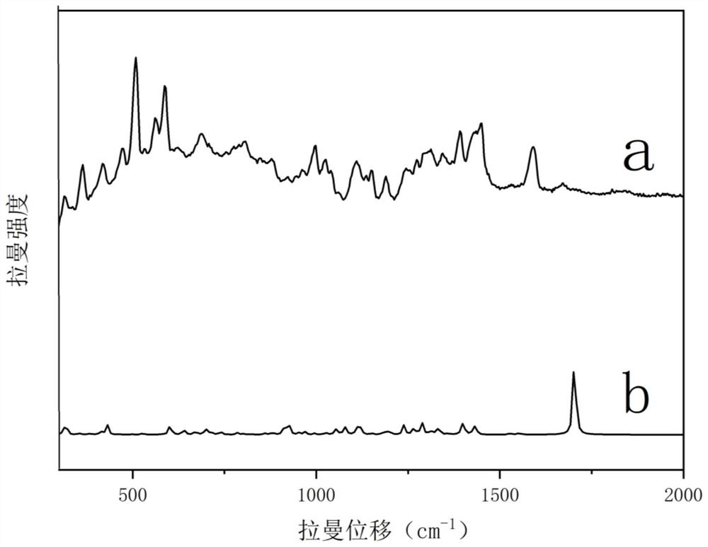 Method for rapidly detecting zilpaterol residues in pork