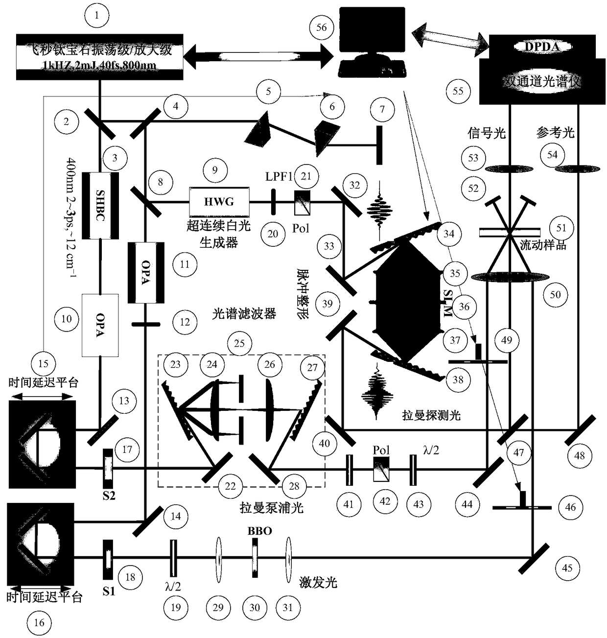 Femtosecond time resolved excited Raman spectrum system