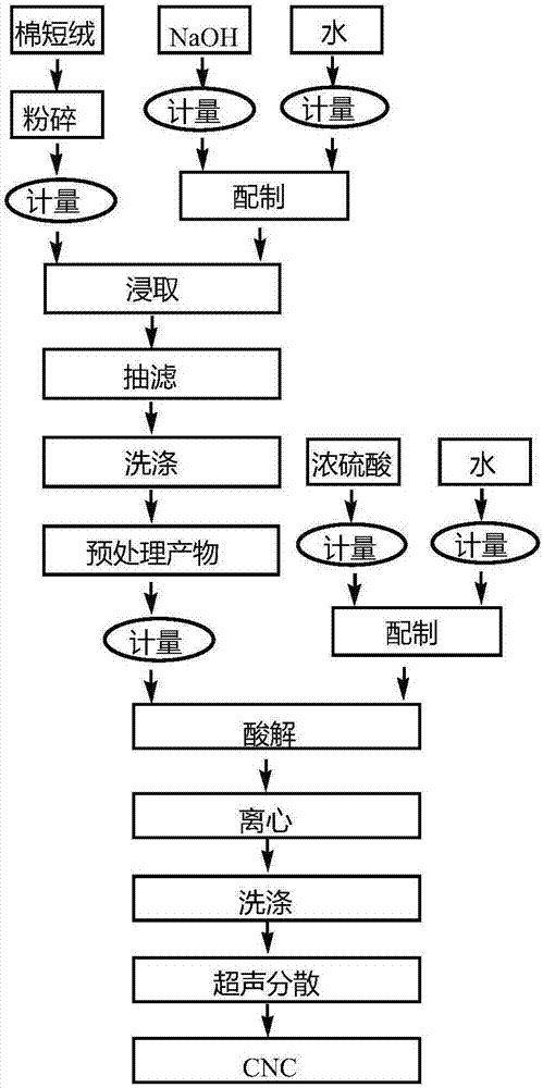 Pilot-scale production line and process for extracting cellulose nanocrystalline from biomass resources