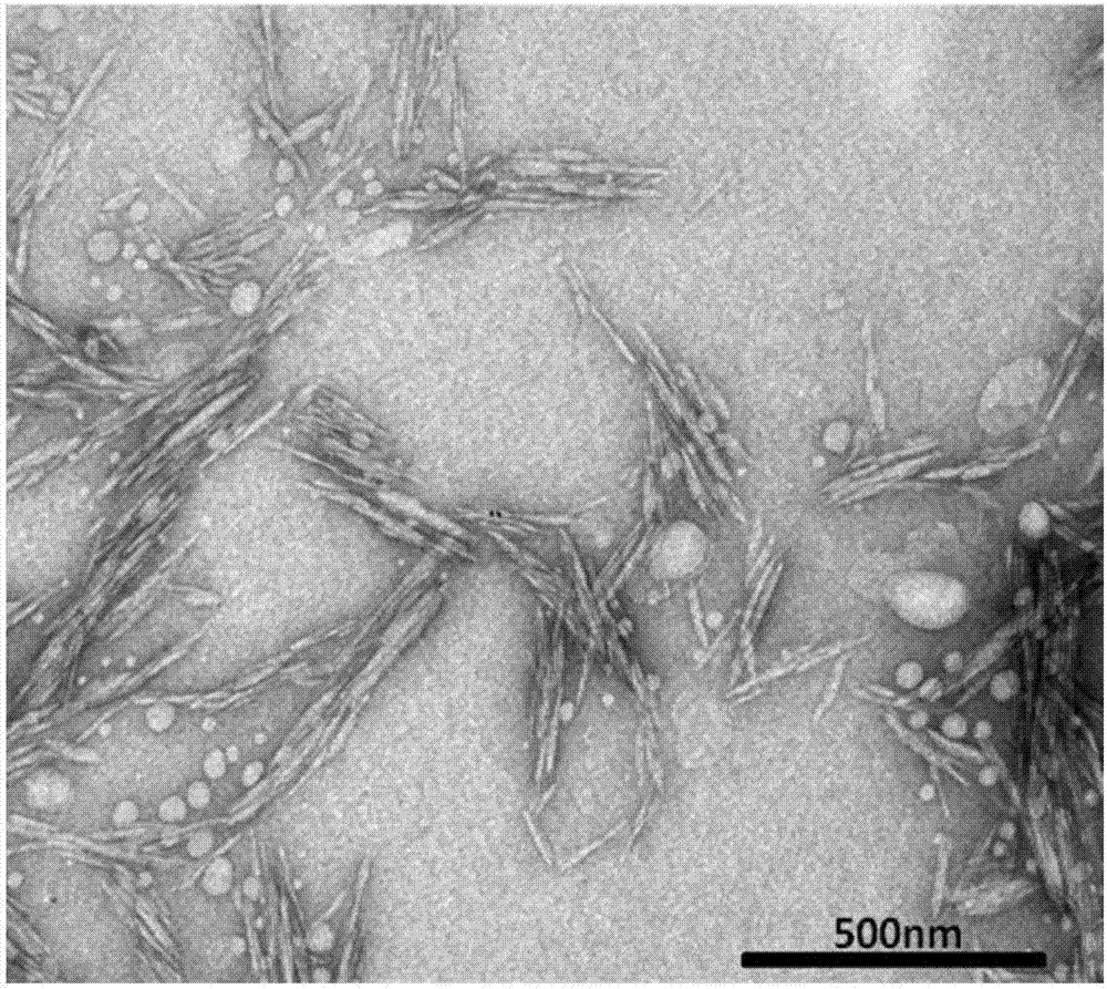 Pilot-scale production line and process for extracting cellulose nanocrystalline from biomass resources