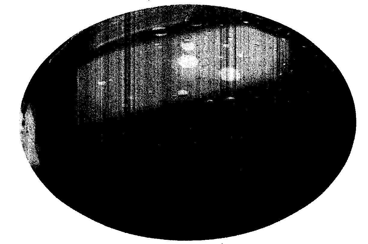 Allicin fatty milk injection and preparation technics thereof