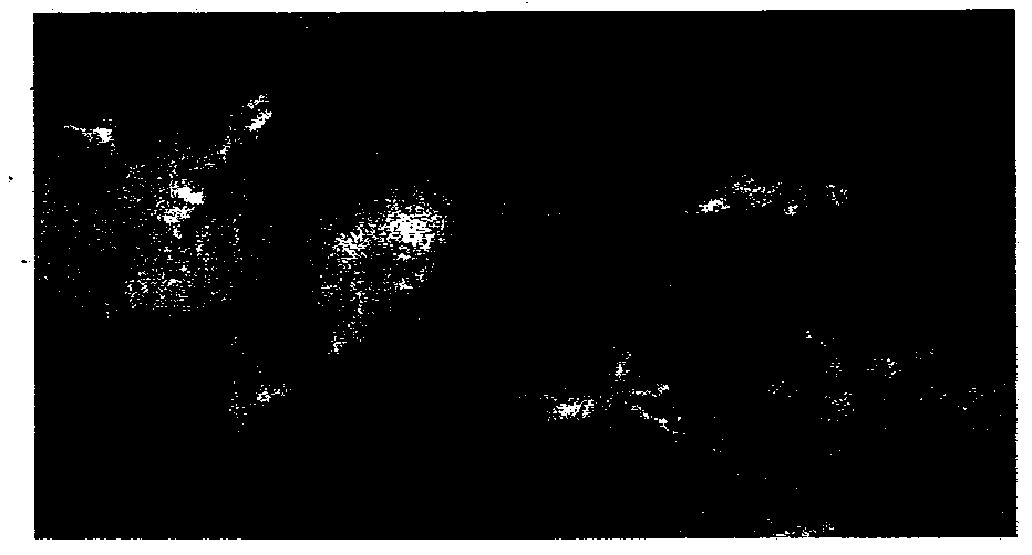 A kind of soybean oil and thyme oil-based gel oil and preparation method thereof