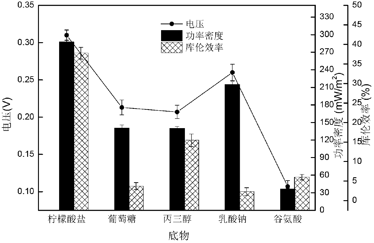 Klebsiella oxytoca and its application in bioelectricity production