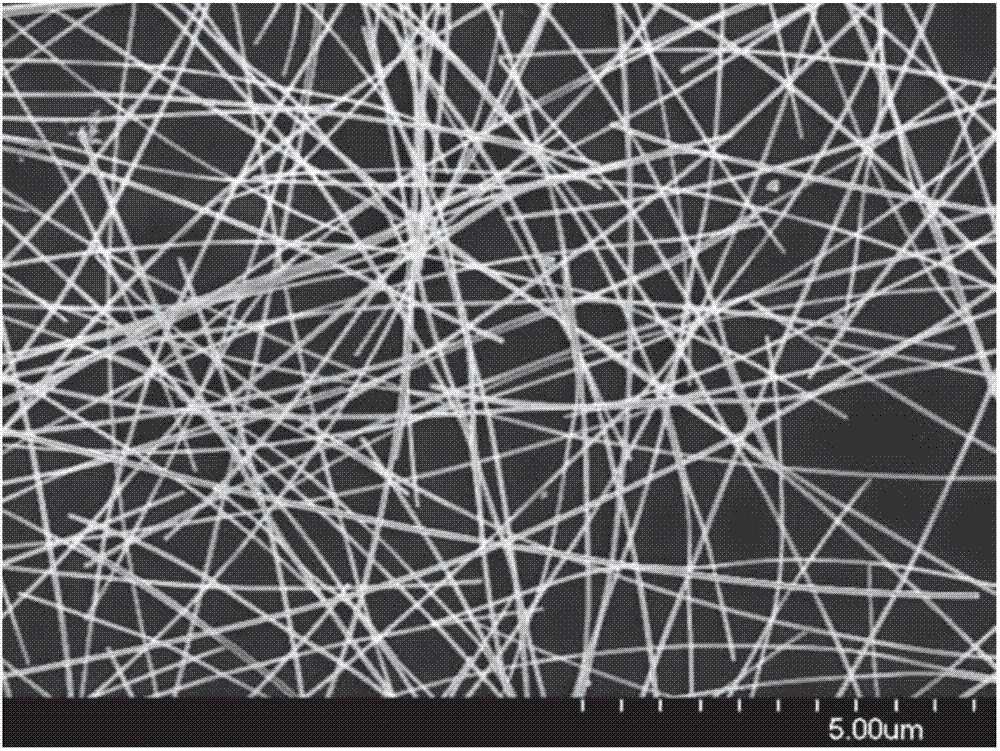 A kind of transparent conductive film and preparation method thereof