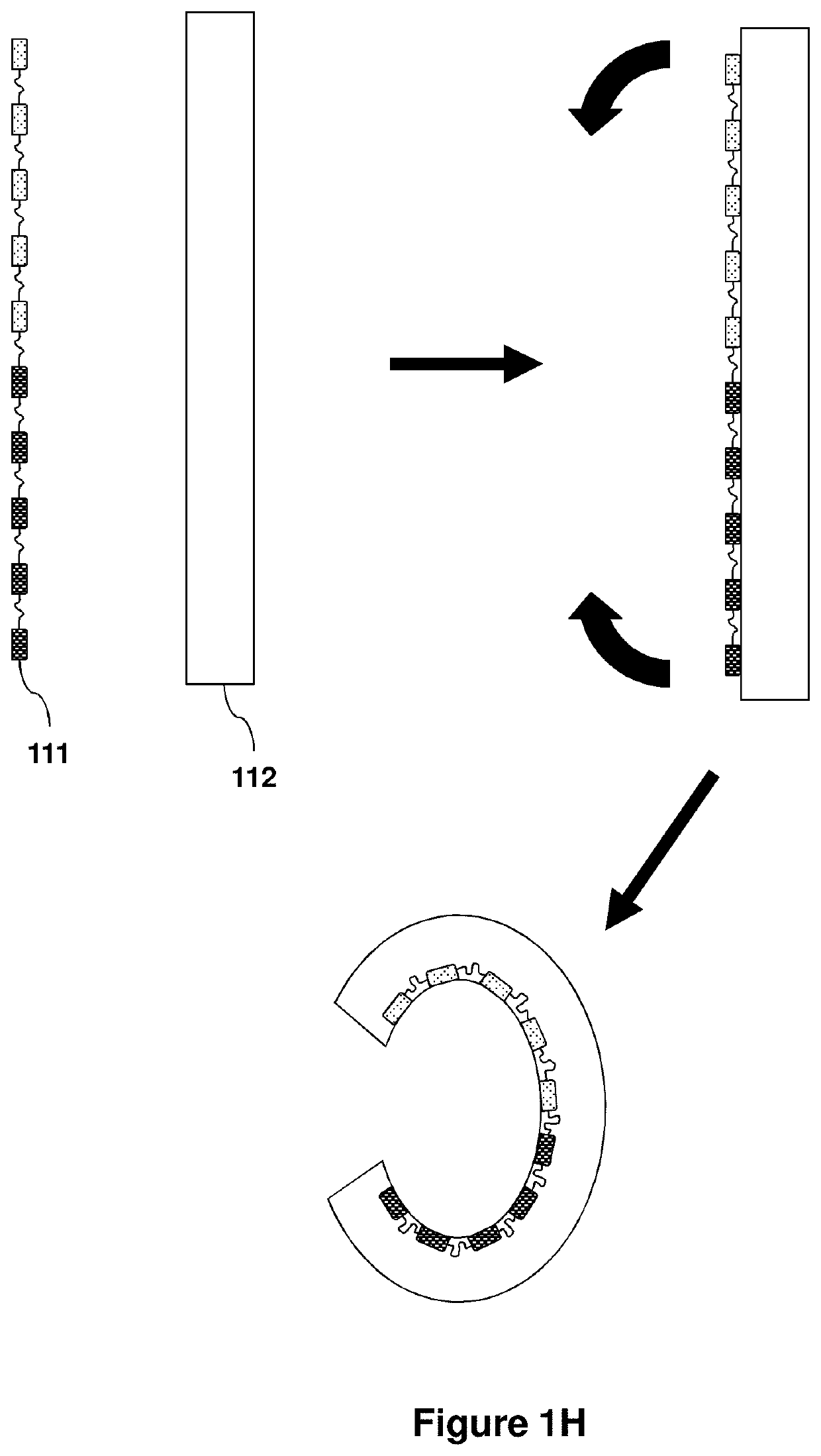 Organ mounted electronics