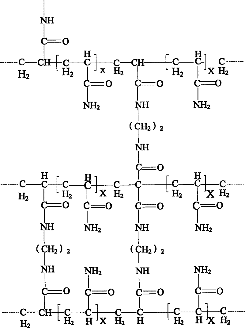 Ultraphonic elastic imaging body model and preparation method thereof