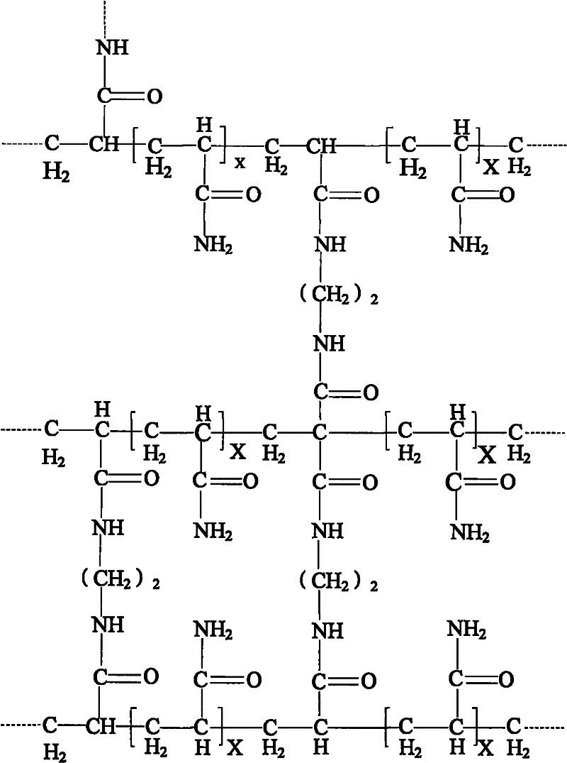 Ultraphonic elastic imaging body model and preparation method thereof