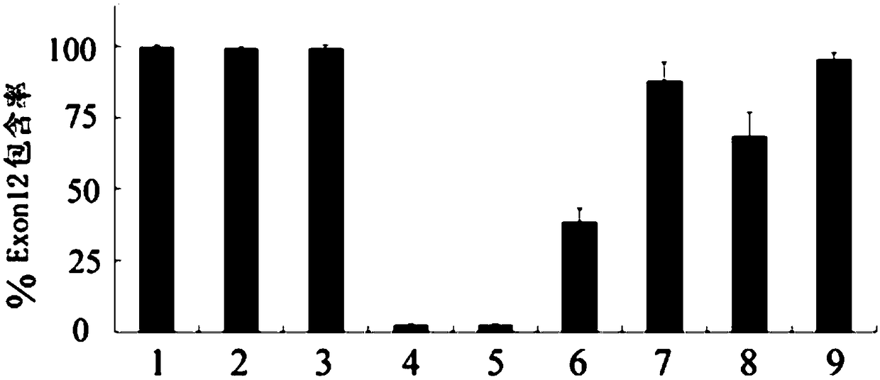 U1-snRNA for repairing TPP1 gene Pre-mRNA aberrant splicing and application of U1-snRNA