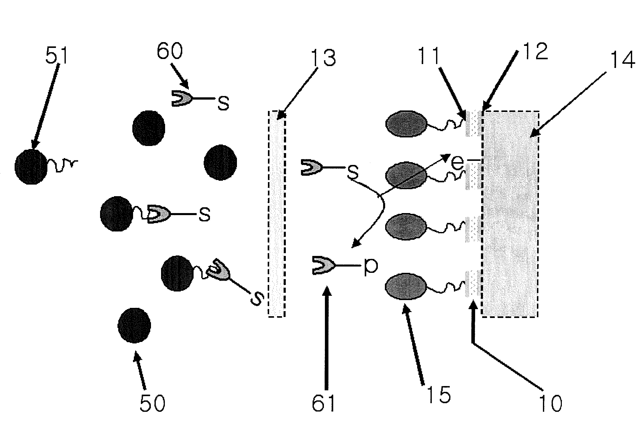 Electrochemical determination system of glycated proteins