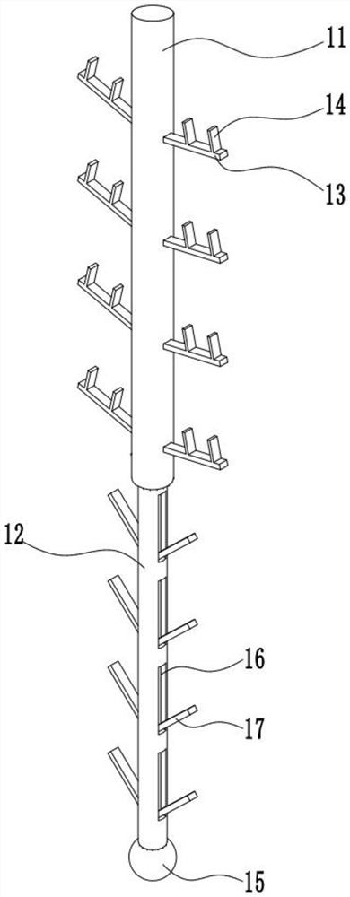 Hami melon planting and cultivating device