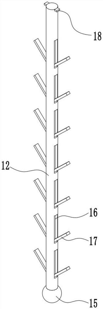 Hami melon planting and cultivating device