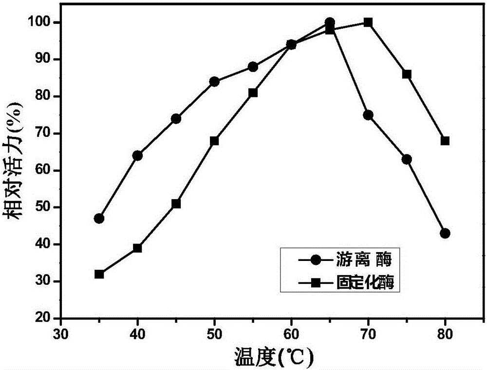 Immobilized halohydrin dehalogenase and application thereof