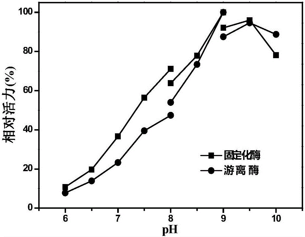 Immobilized halohydrin dehalogenase and application thereof